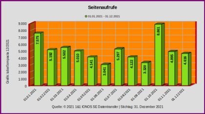Seitenaufrufe_JAN-DEC_2021.png