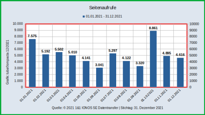Seitenaufrufe_JAN-DEC_2021_Saeule_hor.png
